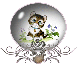 kitty1.gif